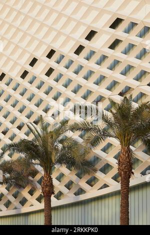 Bildschirm, Außenfassade mit Palmen. 360 Mall, Kuweit City, Kuwait. Architekt: CRTKL, 2021. Stockfoto