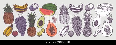 Fruit collection with sketch drawing vintage style colorful hand drawn Illustration vector image set of fruits. Stock Vektor
