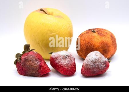 Verdorbene und verfaulte Früchte, Erdbeeren, Apfel und Mandarine Stockfoto