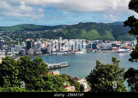 Wellington City Center und Hafen von Mount Victoria Lookout, North Island, Neuseeland Stockfoto