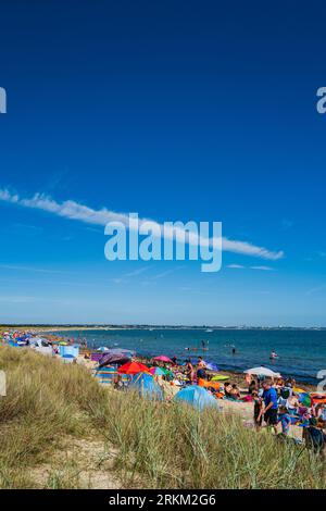 Studland Küste und Bucht Dorset England Großbritannien liegt zwischen Swanage und Poole und Bournemouth. Überfüllter Strand am heißen Sommertag. Sonnenschirme und Windpausen Stockfoto