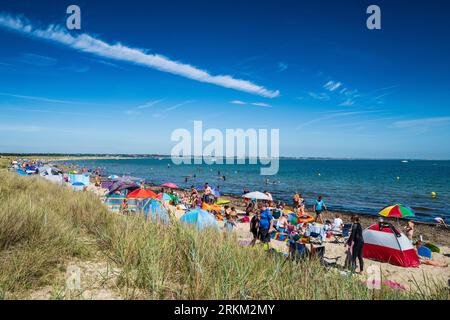 Studland Küste und Bucht Dorset England Großbritannien liegt zwischen Swanage und Poole und Bournemouth. Überfüllter Strand am heißen Sommertag. Sonnenschirme und Windpausen Stockfoto