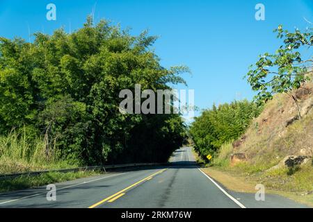 Wunderschöner Straßenblick mit Landschaft von Serra da Bocaina an sonnigen Sommertagen mit blauem Himmel. São Paulo, Brasilien. Reisekonzept, Roadtrip, Tourismus. Stockfoto