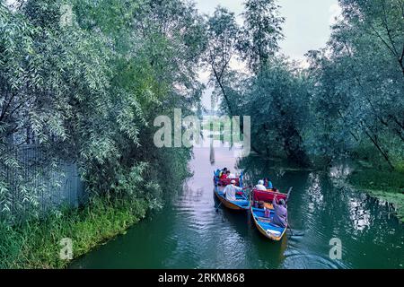 Shikara-Tour auf den Wasserstraßen von Dal Lake, Srinagar, Kaschmir, Indien Stockfoto