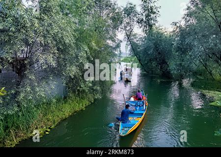 Shikara-Tour auf den Wasserstraßen von Dal Lake, Srinagar, Kaschmir, Indien Stockfoto