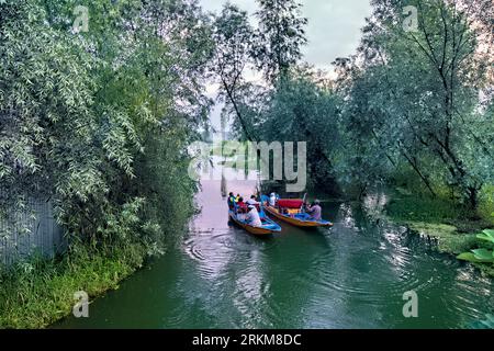 Shikara-Tour auf den Wasserstraßen von Dal Lake, Srinagar, Kaschmir, Indien Stockfoto