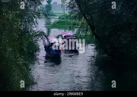 Shikara-Tour auf den Wasserstraßen von Dal Lake, Srinagar, Kaschmir, Indien Stockfoto