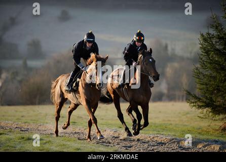 Rennpferde auf den Galopps in der Nähe von Naunton, Gloucestershire UK Stockfoto