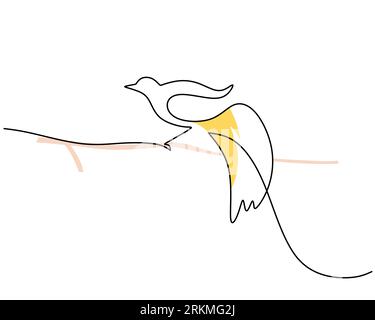 Eine durchgehende Einzellinie von Cendrawasih. Berühmte Kunst der Vogellinie isoliert auf weißem Hintergrund. Stock Vektor