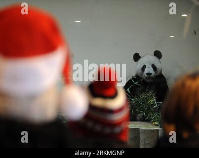 Bildnummer: 56737803 Datum: 16.12.2011 Copyright: imago/Xinhua (111216) -- EDINBURGH, 16. Dezember 2011 (Xinhua) -- Besucher schauen sich den riesigen Panda Yang Guang im Panda Enclosure des Edinburgh Zoo, Edinburgh, Großbritannien, 16. Dezember 2011 an. Riesen-Pandas Yang Guang und Tian Tian, die am 4. Dezember für ein zehnjähriges Kooperationsprogramm in der schottischen Hauptstadt ankamen, waren am Freitag für einen öffentlichen Besuch im Edinburgh Zoo geöffnet. (Xinhua/Zeng Yi) UK-EDINBURGH-RIESE PANDAS PUBLICATIONxNOTxINxCHN Gesellschaft Tiere Riesenpanda Premiumd xns x0x 2011 quer 56737803 Datum 16 12 2011 Copyright Imago XINHUA Edinburgh Stockfoto