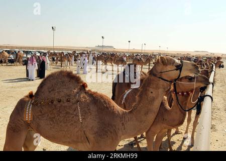 Bildnummer: 56751524 Datum: 17.12.2011 Copyright: imago/Xinhua (111217) -- ABU DHABI, 17. Dezember 2011 (Xinhua) -- Kamele, die am Schönheitswettbewerb teilnehmen, werden in der Wüste in der Nähe von Zayed City, den Vereinigten Arabischen Emiraten, am 17. Dezember 2011 gesehen. Rund 20.000 Kamele aus den Vereinigten Arabischen Emiraten, Saudi-Arabien und anderen arabischen Ländern nahmen an einem traditionellen Schönheitswettbewerb während des fünften Al-Dhafra-Kamelfestivals Teil, das hier am Samstag eröffnet wurde. (Xinhua) VAE-AL DHAFRA CAMEL FESTIVAL PUBLICATIONxNOTxINxCHN Gesellschaft Land Leute Kamel Tiere Schönheitswettbewerb xns x0x 2011 quer 56751524 Datum 17 12 2011 Copyright Imago XI Stockfoto