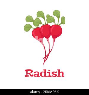 Radieschen isoliertes Symbol auf weißem Hintergrund. Radieschen Vektordarstellung. Stock Vektor