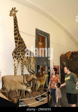 Bildnummer: 56887404  Datum: 14.01.2012  Copyright: imago/Xinhua (120114) -- PRETORIA, Jan. 14, 2012 (Xinhua) -- A child is led by his parents to visit the National Museum of Natural History in Pretoria, South Africa, on Jan. 14, 2012. (Xinhua/Li Qihua) SOUTH AFRICA-PRETORIA-MUSEUM-LIFESTYLE PUBLICATIONxNOTxINxCHN Gesellschaft Naturkunde Naturkundemuseum Kind Bildung xda x0x 2012 hoch      56887404 Date 14 01 2012 Copyright Imago XINHUA  Pretoria Jan 14 2012 XINHUA a Child IS Led by His Parents to Visit The National Museum of Natural History in Pretoria South Africa ON Jan 14 2012 XINHUA left Stock Photo