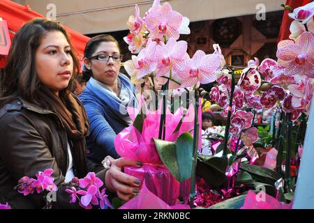 Bildnummer: 56887390  Datum: 14.01.2012  Copyright: imago/Xinhua (120115) -- SAN FRANCISCO, Jan. 15, 2012 (Xinhua) -- pick flowers on the Chinese New Year Flower Market Fair at the Chinatown of San Francisco, the United States, Jan. 14, 2012. The Chinese New Year Flower Market Fair held by San Francisco Chinese Chamber of Commerce opened on Saturday. (Xinhua/Liu Yilin) (djj) U.S.-SAN FRANCISCO-CHINESE NEW YEAR FLOWER MARKET FAIR PUBLICATIONxNOTxINxCHN Gesellschaft Frühlingsfest Neujahr Vorbereitungen xda x0x 2012 quer      56887390 Date 14 01 2012 Copyright Imago XINHUA  San Francisco Jan 15 2 Stock Photo