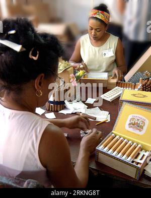 Bildnummer: 57120924 Datum: 28.02.2012 Copyright: imago/Xinhua (120229) -- HAVANNA, 29. Februar 2012 (Xinhua) -- Frauen packen Zigarren in einer Tabakfabrik in San Antonio de los Banos, La Havana, Kuba, 28. Februar 2012. Anlässlich des XVI. Zigarren-Festivals im Kongresspalast bereiten sich Tabakunternehmen darauf vor, ihre Produkte auszustellen. Die Veranstaltung findet vom 27. Februar bis 2. März 2012 statt. (Xinhua/Joaquin Hernandez) (zyw) CUBA-HAVANA-TOBACCO PUBLICATIONxNOTxINxCHN Wirtschaft Gesellschaft Arbeitswelten Tabak Herstellung Zigarre xbs x0x 2012 hoch 57120924 Datum 28 02 2012 Copyright Imago XINHUA H Stockfoto