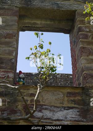 Par, Cornwall, Großbritannien - März 26 2022: Ein Gartenzwerg, der auf dem Fenstervorsprung einer ehemaligen Scheune im Tregrehan Garden thront. Stockfoto