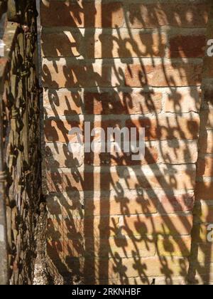 Par, Cornwall, UK - März 26 2022: Sonnenlicht durch ein rostiges Tor zieht ein Schattenmuster an eine Wand im Tregrehan Garden. Stockfoto