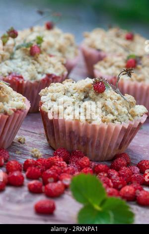 selbstgemachte Streusel aus wilden Erdbeeren Stockfoto