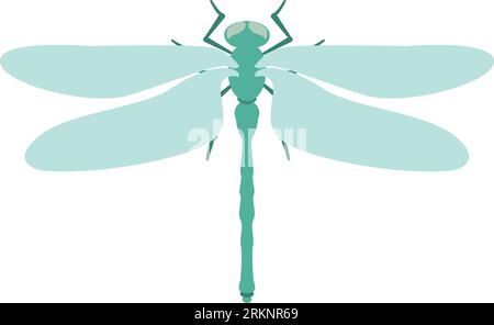 Isolated colored dragonfly insect animal icon Vector Stock Vektor