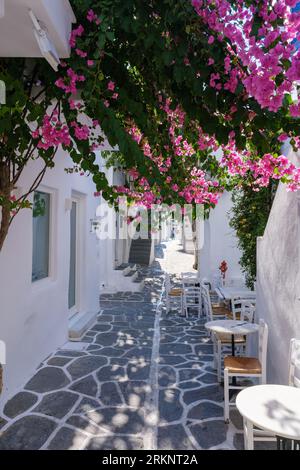 Naousa, GR - 2. August 2023: Typische Straße aus Pflasterstein mit Bougainvillea in den Kykladen Stockfoto