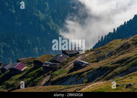 Immergrüne Nadelbäume und Yayla-Häuser auf einem bewaldeten Berghang in einem nebligen Tal in der Türkei Stockfoto