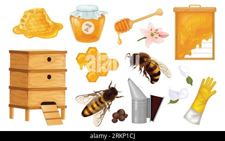 Beekeeping equipment honey set with isolated images of bees beehives honeycomb can with flowers and gloves vector illustration Stock Vector