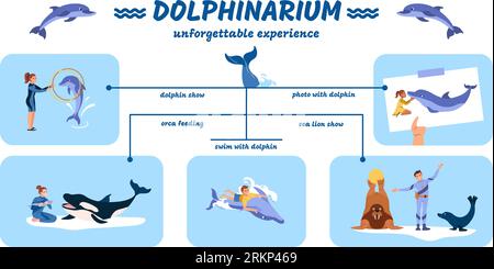 Delphinarium flache Infografik mit Delfin und Seelöwen zeigen Fotos Orca Fütterung Schwimmen mit Tieren Vektor Illustration Stock Vektor