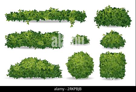 Set of realistic green bushes and tree crowns isolated on white background vector illustration Stock Vector