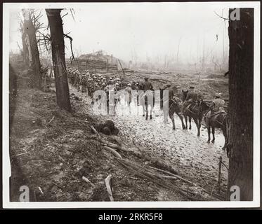 An der Westfront. Der 1. Weltkrieg oder der 1. Weltkrieg, oft abgekürzt als der 1. Weltkrieg, war ein großer globaler Konflikt, der von 1914 bis 1918 andauerte. Es wurde zwischen zwei Koalitionen, den Alliierten und den Mittelmächten, ausgetragen. Kämpfe fanden in ganz Europa, im Nahen Osten, in Afrika, im Pazifik und in Teilen Asiens statt. Im ersten Jahrzehnt des 20. Jahrhunderts nahmen die diplomatischen Spannungen zwischen den europäischen Großmächten zu. Dies erreichte am 28. Juni 1914 einen Höhepunkt, als ein bosnischer Serbe namens Gavrilo Princip Erzherzog Franz Ferdinand ermordete. Stockfoto