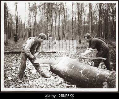 An der Westfront. Der 1. Weltkrieg oder der 1. Weltkrieg, oft abgekürzt als der 1. Weltkrieg, war ein großer globaler Konflikt, der von 1914 bis 1918 andauerte. Es wurde zwischen zwei Koalitionen, den Alliierten und den Mittelmächten, ausgetragen. Kämpfe fanden in ganz Europa, im Nahen Osten, in Afrika, im Pazifik und in Teilen Asiens statt. Im ersten Jahrzehnt des 20. Jahrhunderts nahmen die diplomatischen Spannungen zwischen den europäischen Großmächten zu. Dies erreichte am 28. Juni 1914 einen Höhepunkt, als ein bosnischer Serbe namens Gavrilo Princip Erzherzog Franz Ferdinand ermordete. Stockfoto