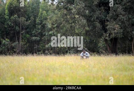 Bildnummer: 58188713  Datum: 03.07.2012  Copyright: imago/Xinhua (120704) -- NAIROBI, July 4, 2012 (Xinhua) -- A man reads a book beside a forest in Nairobi, capital of Kenya, July 3, 2012. Kenya Forest Service (KFS) Director DavidxMbugua told Xinhua in an interview late on Monday that the country has already managed a forest cover of 5.9 percent. Kenya is on track to achieve a forest cover of 10 percent of the country s land by the year 2030. (Xinhua/Ding Haitao)(msq) KENYA-FOREST COVER PUBLICATIONxNOTxINxCHN Gesellschaft x2x xst 2012 quer o0 Wald, Regenwald, Ökologie mann liest buch     5818 Stockfoto