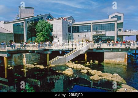 Monterey Aquarium, Monterey, Kalifornien, USA Stockfoto