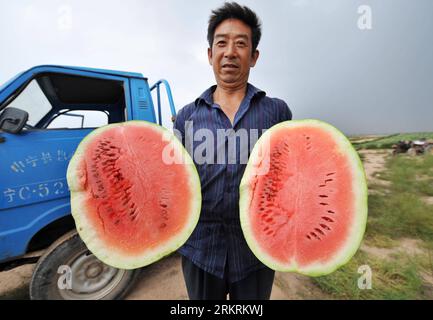 Bildnummer: 58275673 Datum: 20.07.2012 Copyright: imago/Xinhua (120720) -- YINCHUAN, 20. Juli 2012 (XINHUA) -- Ein Bauer zeigt seine hochwertigen Wassermelonen im Dorf Wudaoqu des Komitats Zhongning in der Autonomen Region Ningxia Hui im Nordwesten Chinas, 19. Juli 2012. Zhongning County ist bekannt für seine üppigen Wassermelonen. Der Anbau von Wassermelonen ist für die örtlichen Landwirte zu einem wichtigen Wirtschaftsfaktor geworden. (Xinhua/Peng Zhaozhi) (wjq) (lfj) CHINA-NINGXIA-ZHONGNING-WATERMELON-HARVEST (CN) PUBLICATIONxNOTxINxCHN Wirtschaft Landwirtschaft Melone Wassermelone Anbau x0x xst 2012 quer 58275673 Datum 20 07 2012 Kopie Stockfoto