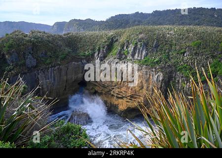 Riesige Wellen stürzen in die berühmten Punakaiki Pancake Rocks. Eines der beliebtesten Reiseziele Neuseelands. Stockfoto