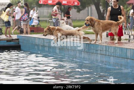 Bildnummer: 58413794  Datum: 01.09.2012  Copyright: imago/Xinhua (120901) -- BEIJING, Sept. 1, 2012 (Xinhua) -- Two golden retrievers compete in a jumping contest during the 4th Pet World Dog Carnival at Chaoyang Park in Beijing, capital of China, Sept. 1, 2012. About 1,000 dogs participate in the carnival on Saturday. (Xinhua/Zhao Bing) (lfj) CHINA-BEIJING-DOG CARNIVAL (CN) PUBLICATIONxNOTxINxCHN Gesellschaft Dressur Tier Hund Tiersport x0x xds 2012 quer      58413794 Date 01 09 2012 Copyright Imago XINHUA  Beijing Sept 1 2012 XINHUA Two Golden Retrievers compete in a Jumping Contest during T Stock Photo