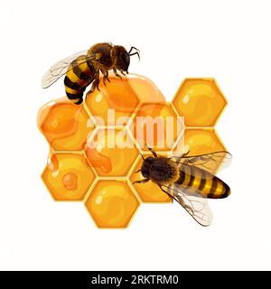 Honey realistic abstract composition with bees sitting on amber honeycombs vector illustration Stock Vector