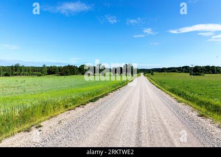 Schotterstraße im Südosten Estlands, umgeben von Wäldern und grünen Feldern, an einem schönen sonnigen Sommertag, Estland Stockfoto