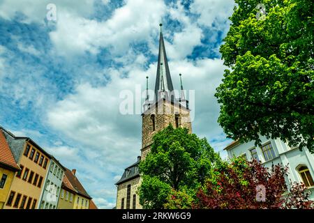 Sommerwanderung durch das Saaletal zur schönen Leuchtenburg bei Kahla - Thüringen - Deutschland Stockfoto