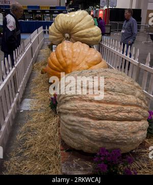 Bildnummer: 58663304 Datum: 02.11.2012 Copyright: imago/Xinhua TORONTO, (Xinhua) – riesige Kürbisse, die in Kanada gepflanzt werden, werden während der Royal Agricultural Winter Fair auf der Canadian National Exhibition in Toronto, Kanada, am 2. November 2012 ausgestellt. Die zehntägige jährliche Veranstaltung, die hier am Freitag eröffnet wurde, ist eine der größten kombinierten Indoor-Landwirtschaftsmessen der Welt. (Xinhua/Zou Zheng) (bxq) CANADA-TORONTO-THE ROYAL AGRICULTURAL WINTER FAIR PUBLICATIONxNOTxINxCHN Wirtschaft Messe Landwirtschaft Landwirtschaftsmesse Agrarmesse Premiere x0x xmb 2012 quadrat kurios Komik 58663304 Datum 02 11 201 Stockfoto