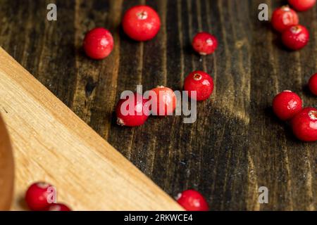 Rote wilde Preiselbeeren, bedeckt mit Wassertropfen, säuerliche reife Preiselbeeren mit Tropfen reinen Wassers auf der Oberfläche Stockfoto