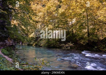 Vintgar Gorge in Herbstfarben - Slowenien Stockfoto