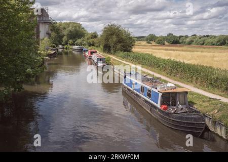 Sechs Schmalboote säumen an einem sonnigen Tag mit bewölktem Himmel eine Seite der Flusshalle in der Nähe von Harlow England zwischen wunderschönen Bäumen und Ackerland Stockfoto