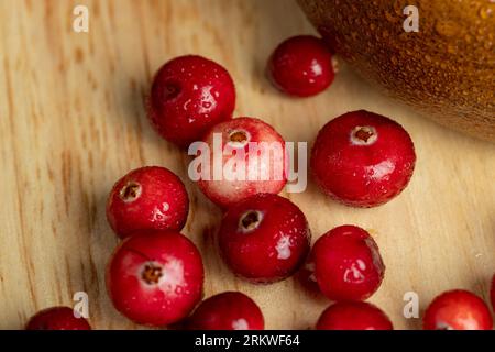 Rote wilde Preiselbeeren, bedeckt mit Wassertropfen, säuerliche reife Preiselbeeren mit Tropfen reinen Wassers auf der Oberfläche Stockfoto