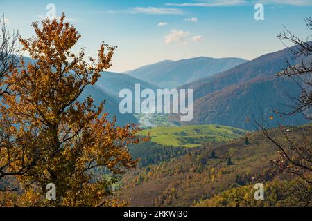 Im Herbst herrlicher Blick auf die Berge. Malerisches Tal in den Bergen mit Herbstbäumen und Fluss im Boden Stockfoto