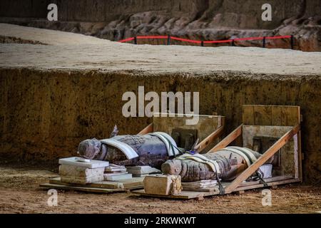 Die weltberühmte Terrakotta-Armee, Teil des Mausoleums des ersten Qin-Kaisers und UNESCO-Weltkulturerbe in Xian, China. Stockfoto