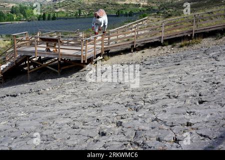 Ichniten oder versteinerte Fußabdrücke von Dinosauriern. ERA del Peladillo, Igea, La Rioja, Spanien. Stockfoto