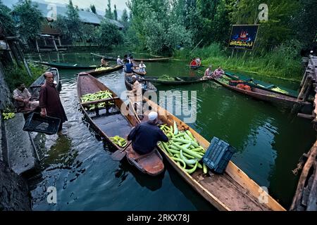 Schwimmender Gemüsemarkt, Dal Lake, Srinagar, Kaschmir, Indien Stockfoto
