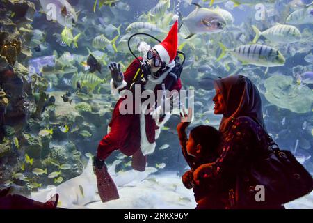 Bildnummer: 58920408  Datum: 14.12.2012  Copyright: imago/Xinhua (121214) -- KUALA LUMPUR, Dec. 14, 2012 (Xinhua) -- A diver wearing a Santa Claus costume greets visitors as he swims with fishes at an aquarium in Kuala Lumpur, Malaysia, Dec. 14, 2012. (Xinhua/Chong Voon Chung)(zjl) MALAYSIA-KUALA LUMPUR-DIVER-SANTA CLAUS PUBLICATIONxNOTxINxCHN Gesellschaft Weihnacht Weihnachtsmann Nikolaus Aquarium Fische Tier Taucher x0x xdd 2012 quer premiumd kurios      58920408 Date 14 12 2012 Copyright Imago XINHUA  Kuala Lumpur DEC 14 2012 XINHUA a Diver Wearing a Santa Claus costume greets Visitors As h Stock Photo