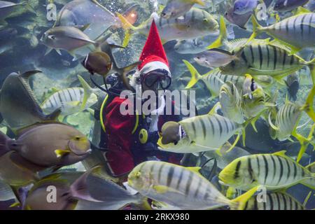 Bildnummer: 58920409  Datum: 14.12.2012  Copyright: imago/Xinhua (121214) -- KUALA LUMPUR, Dec. 14, 2012 (Xinhua) -- A diver wearing a Santa Claus costume swims with fishes at an aquarium in Kuala Lumpur, Malaysia, Dec. 14, 2012. (Xinhua/Chong Voon Chung)(zjl) MALAYSIA-KUALA LUMPUR-DIVER-SANTA CLAUS PUBLICATIONxNOTxINxCHN Gesellschaft Weihnacht Weihnachtsmann Nikolaus Aquarium Fische Tier Taucher x0x xdd 2012 quer premiumd kurios      58920409 Date 14 12 2012 Copyright Imago XINHUA  Kuala Lumpur DEC 14 2012 XINHUA a Diver Wearing a Santa Claus costume swim With Fishes AT to Aquarium in Kuala L Stock Photo