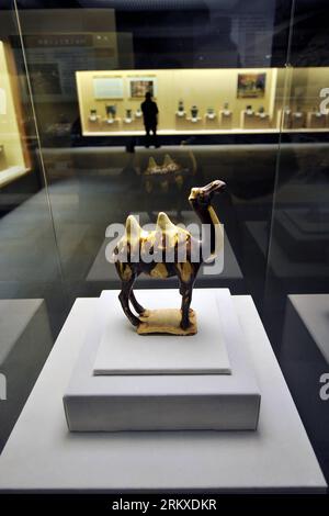 Bildnummer: 58950632  Datum: 25.12.2012  Copyright: imago/Xinhua (121225) -- TAIYUAN, Dec. 25, 2012 (Xinhua) -- A tri-colored glazed pottery of the Tang Dynasty (618-907) in the shape of a camel is displayed at the Shanxi Museum in Taiyuan, capital of north China s Shanxi Province, Dec. 25, 2012. The footprints of civilization exhibition was held at the Shanxi Museum on Tuesday, showing some 300 items of antiques highlighting the achievements of the Archeology Institute of the Chinese Academy of Social Sciences. (Xinhua/Zhan Yan) (zhs) CHINA-TAIYUAN-MUSEUM-ARCHEOLOGY-EXHIBITION (CN) PUBLICATIO Stock Photo